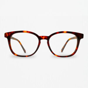 Clearspecs Canby Tortoise